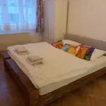 Stylish Near Jezerka Park Apartment Prague